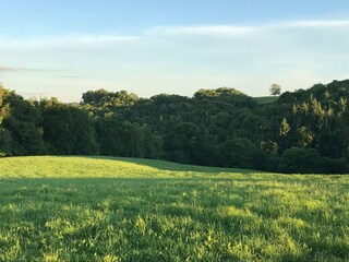 Landhaus Sousceyrac Umgebung 31