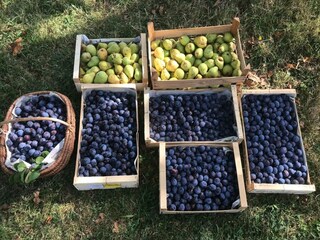 Vakantiehuisje Sousceyrac  36