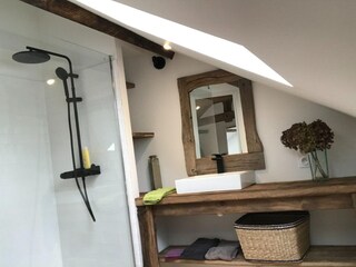 Type de propriété : Chalet Sousceyrac Équipement 27