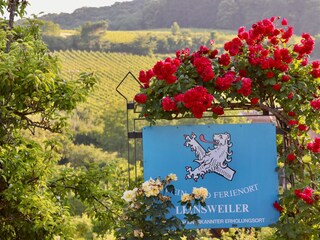 Ferienhaus Leinsweiler Umgebung 19