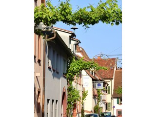 Ferienhaus Leinsweiler Umgebung 21