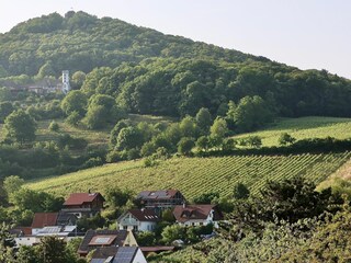 Ferienhaus Leinsweiler Umgebung 21