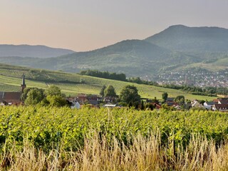 Ferienhaus Leinsweiler Umgebung 23