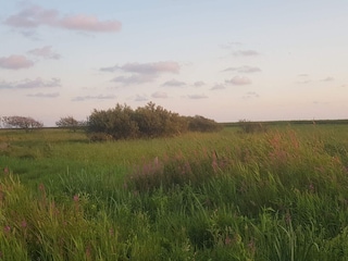 Ferienhaus Stauning  2