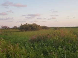 Holiday house Stauning  2