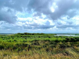 Maison de vacances Stauning  3