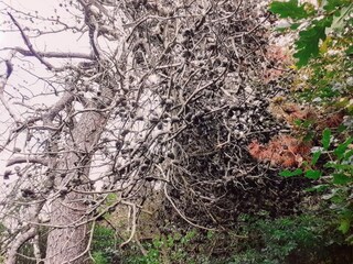 Ferienhaus Stauning  27