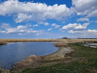 Ferienhaus Stauning  29