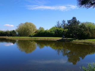 Ferienhaus Stauning  30