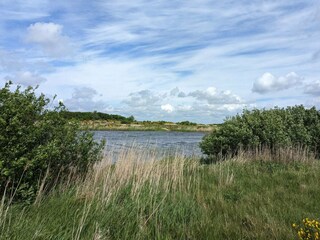 Maison de vacances Stauning  49