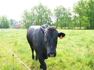 Casa per le vacanze Geel  40