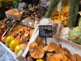 Holiday house Cartama Environment 28