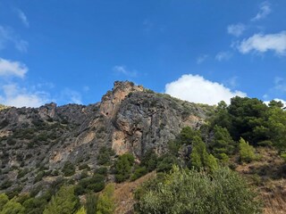 Casa de vacaciones Cartama Entorno 40