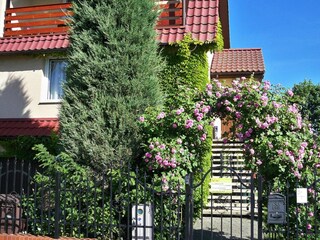 Ferienpark Pobierowo Außenaufnahme 2