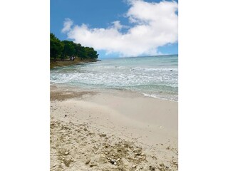 Holiday apartment Murter (Stadt) Environment 14