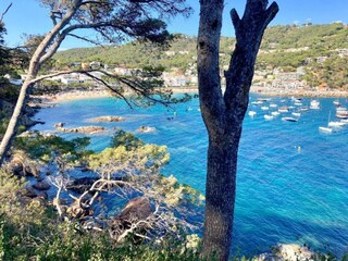 Appartamento Llafranc Ambiente 40