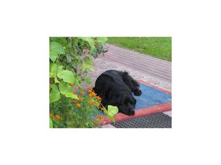 Parque de vacaciones Polanow  33