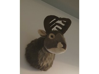 Apartment Hüttenzauber in Kirchdorf