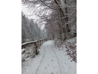 erster Schnee November 2025