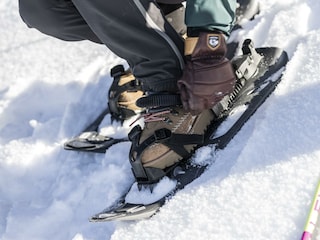 Schneeschuhwandern (c) Mirja Geh (4)