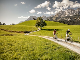 E-Bike_in_Oberndorf_(c)_Mirja_Geh_(9)[1]