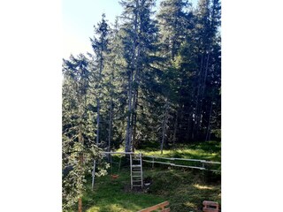 Gartenansicht von oben