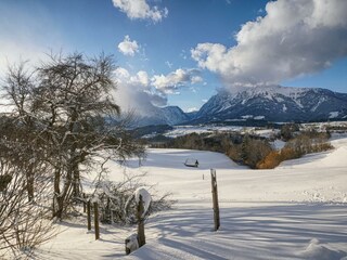 Ferienhaus Daum | Ausblick in die Winterlandschaft