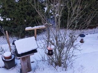 IWinterbild im Garten