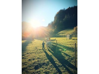 03ef602d-3055-4ec7-be7a-f382697f44cc