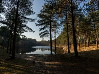 Das Forstgebiet um die Ecke