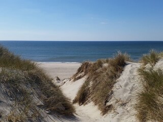Ferienwohnung Norderney Umgebung 14