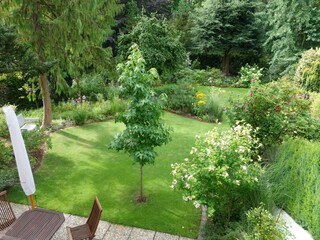 Garten mit Terrasse