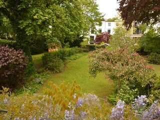 Garten hinter dem Haus