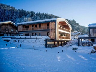 das Luis - Winter 2019