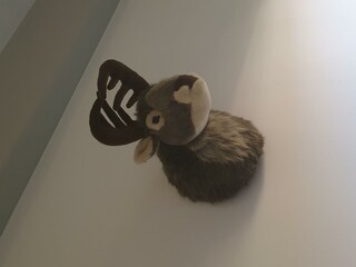 Apartment Hüttenzauber