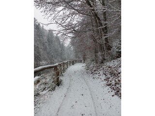 erster Schnee November 2025