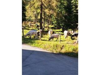 Ausblick von der Veranda