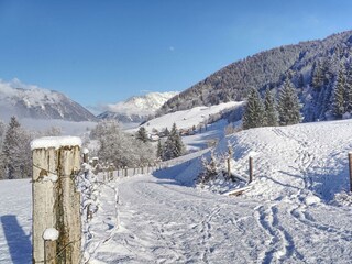 Ferienhaus Daum | Winter im Naturpark Sölktäler