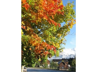 Umgebung-Gasthaus-Stieber-im-Naturpark-Sölktäler-i