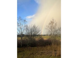 Bullau | bü-Blick über die Ebene Richtung Wald
