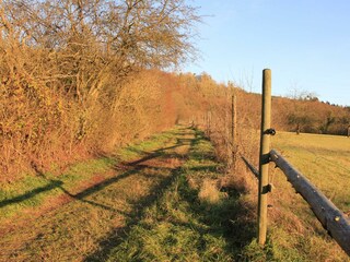 Ferienwohnung Klimek- Wanderweg direkt am Haus
