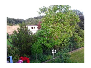 Ferienwohnung Sylvia-Blick aus der Ferienwohnung