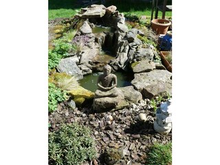 Garten und Teich