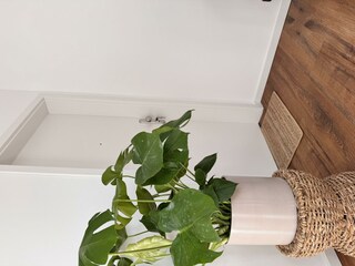 Eingangsbereich - Flur