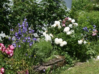 Georgs Ferienwohnung-Garten