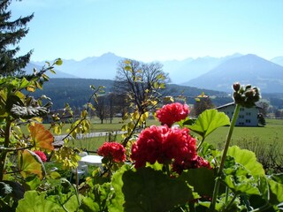einzigartiger Panoramablick