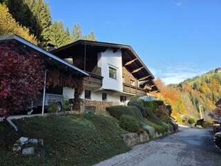 Feines Alpennest im Herbst
