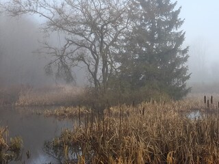 Hochmoor Mecklenbruch