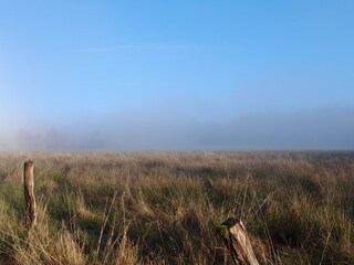 Apartamento de vacaciones Holzminden Entorno 28