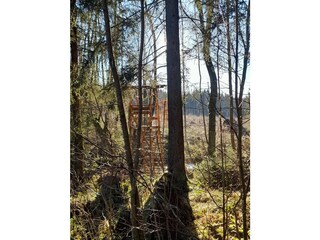 Apartamento de vacaciones Holzminden Entorno 29